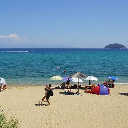 Aegean Blue In Palio *