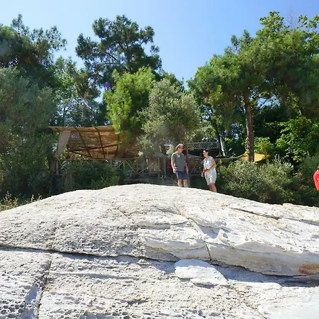 Aegean Blue In Palio *