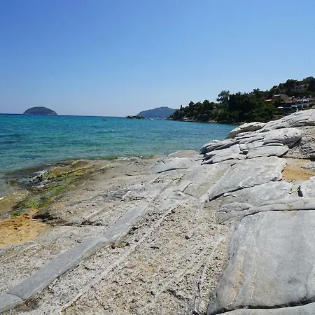 Aegean Blue In Palio *